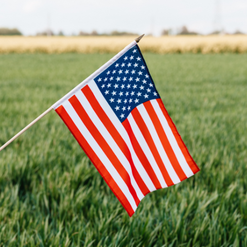 Small American flag tilts on a pole above a green field, with golden crops and a pale sky creating a peaceful, patriotic rural scene.