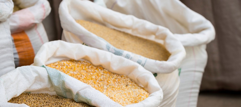 Three white sacks filled with various grains, including corn and wheat, are neatly arranged. The setting suggests a market or storeroom.