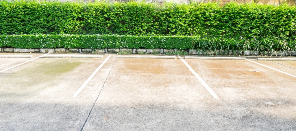 Empty outdoor parking spaces with faded white lines face a dense, neatly trimmed green hedge, creating a quiet, sunlit scene with a calm, orderly tone.