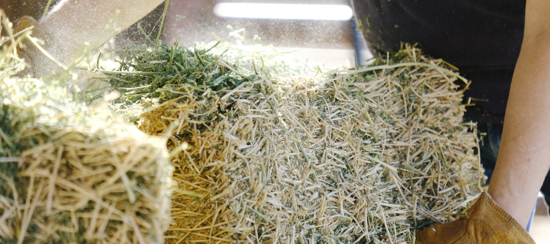 Explore departments at Strathmore Feed & Pets Store in Strathmore, CA.