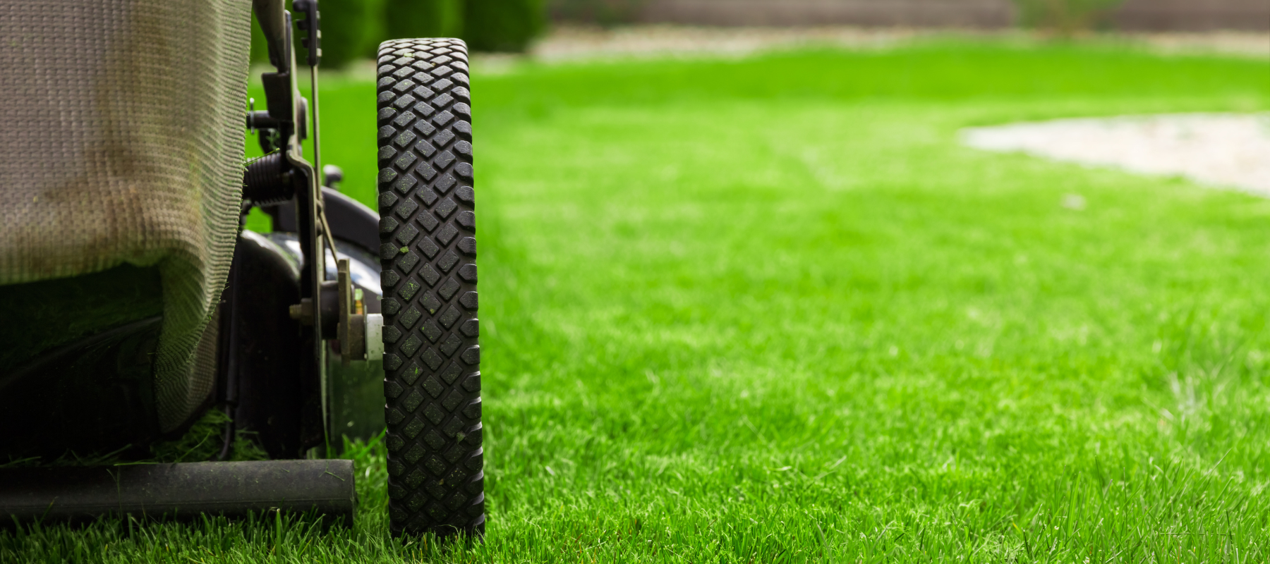 Landscaping and garden supplies at TG Brooks Supply Co. in Timberlake, NC