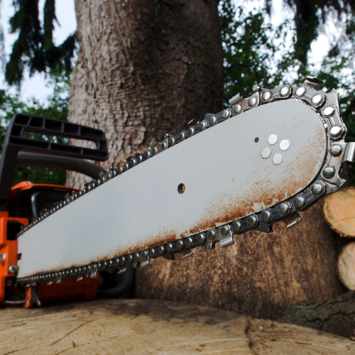 Close-up of an orange chainsaw with a rusty guide bar and sharp chain against a tree trunk, conveying rugged outdoor woodcutting.