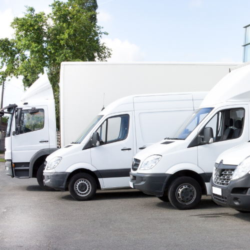 Several white delivery trucks and cargo vans are parked side by side outdoors, creating a clean, orderly commercial fleet scene.