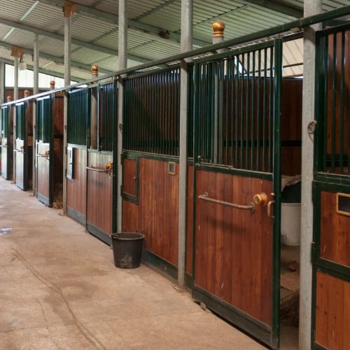 A quiet stable aisle lined with dark green metal and polished wooden horse stalls, brass fixtures, and a bucket on the concrete floor.