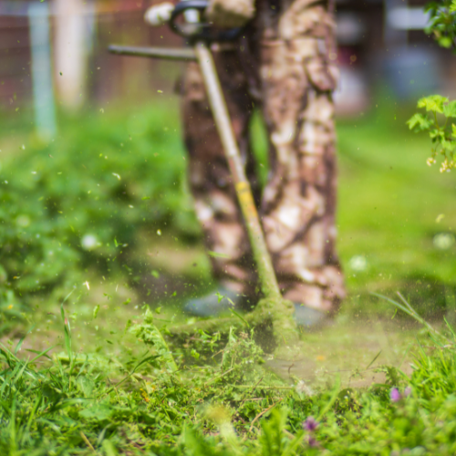 A weed wacker being used to trim grass