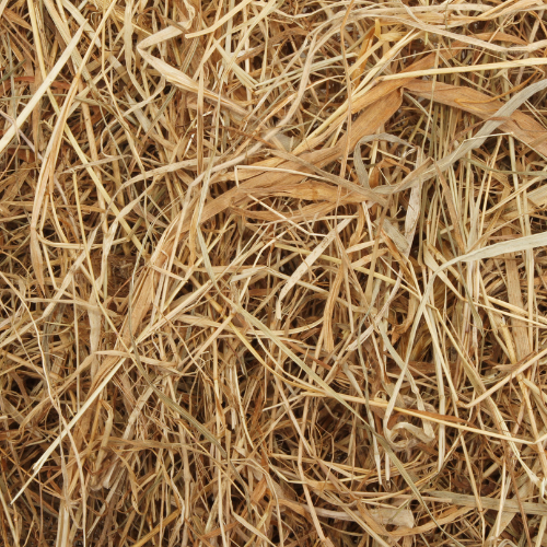 Close-up of a dense, tangled pile of dry, golden straw. The intertwined strands create a textured, rustic feel, conveying a natural, earthy atmosphere.