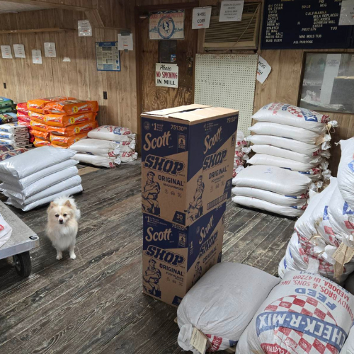 Supplies inside of Salem Lumber and Feed.
