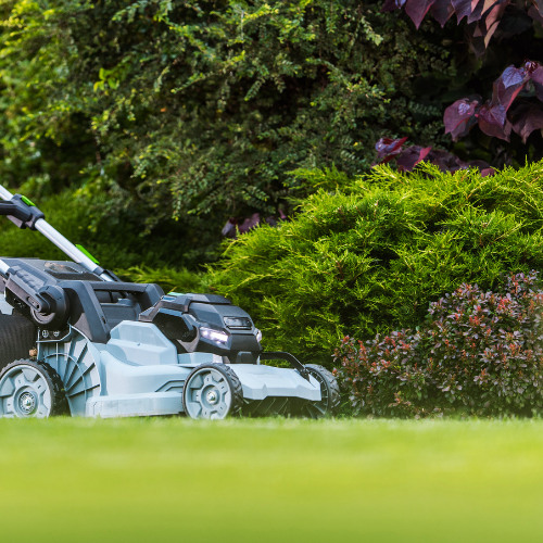 A modern gray and black electric lawnmower on a lush green lawn with landscaped shrubs in the background.